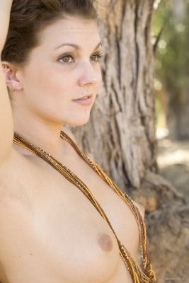 Stella_06